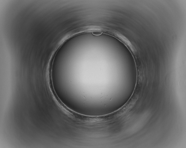 X0000116141475200911301511
