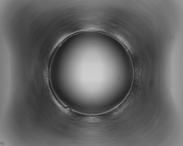 X0000116141476200911301511