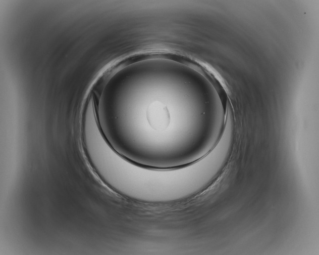 X0000116141477200911301511