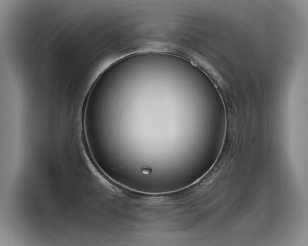 X0000116141479200911301511