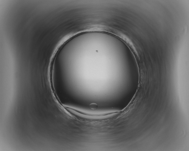 X0000116141480200911301511