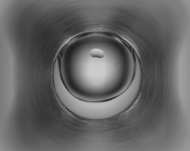 X0000116141481200911301511