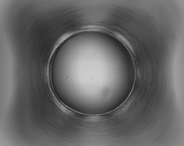 X0000116141482200911301511