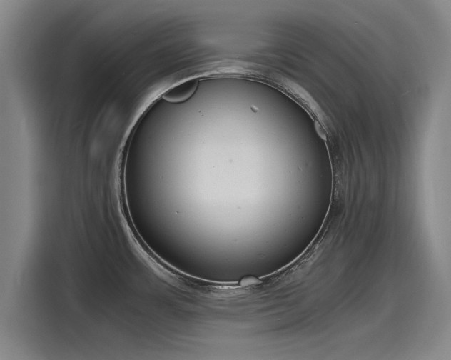 X0000116141483200911301511