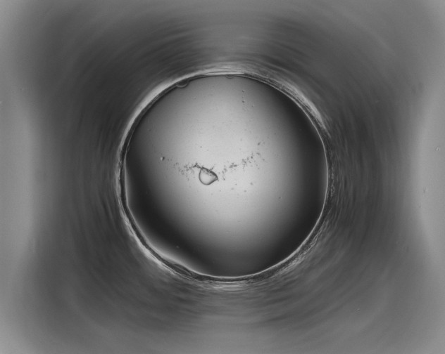 X0000116141484200911301511