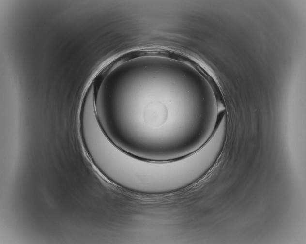 X0000116141485200911301511