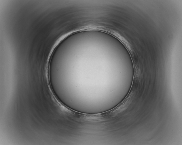 X0000116141486200911301511