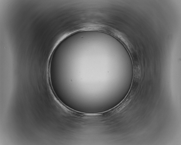 X0000116141487200911301511