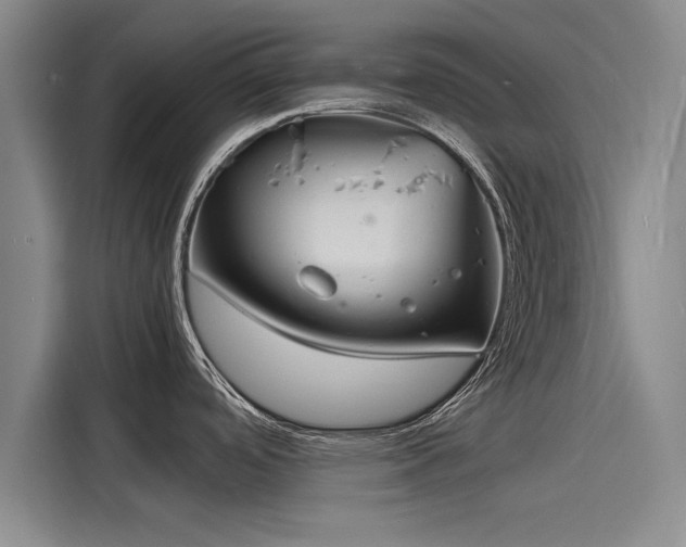 X0000116141488200911301510
