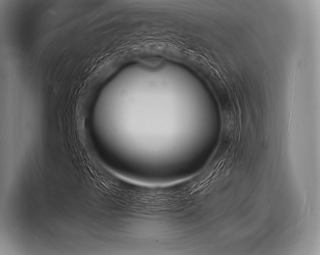 X0000116141489200911301510