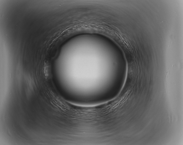 X0000116141490200911301510