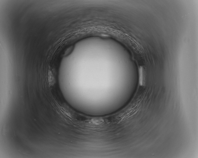 X0000116141491200911301510