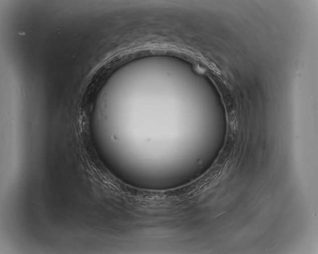 X0000116141495200911301510
