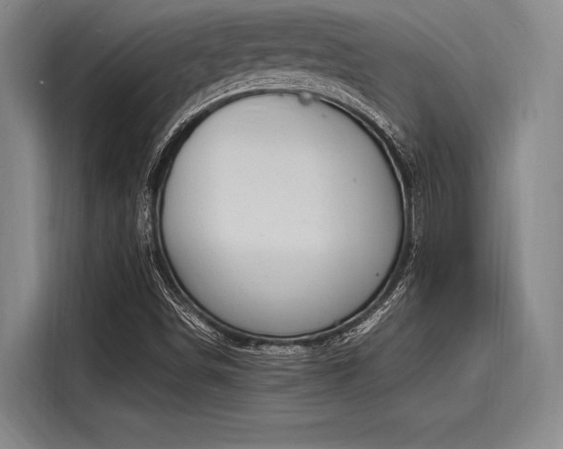 X0000116141498200911301510