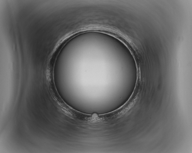 X0000116141501200911301510