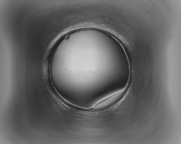 X0000116141502200911301510