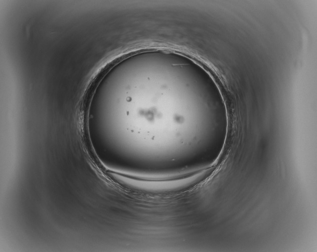 X0000116141503200911301510