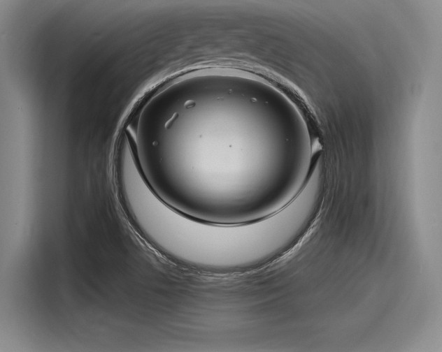 X0000116141506200911301510