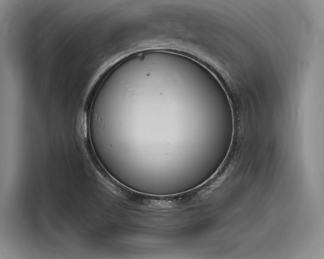 X0000116141509200911301510