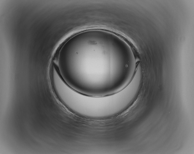 X0000116141510200911301510