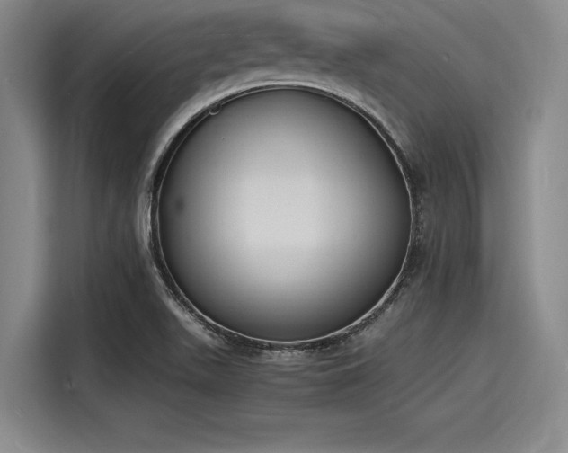 X0000116141511200911301510