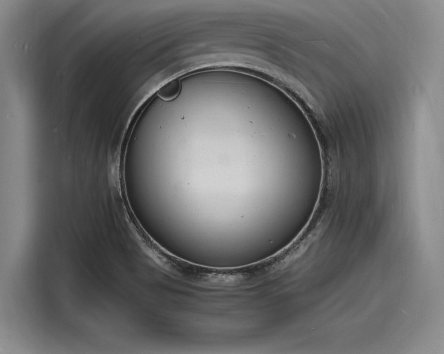 X0000116141513200911301510
