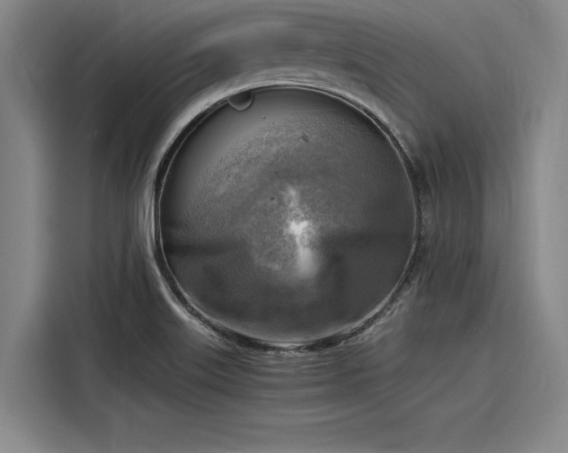 X0000116141515200911301510