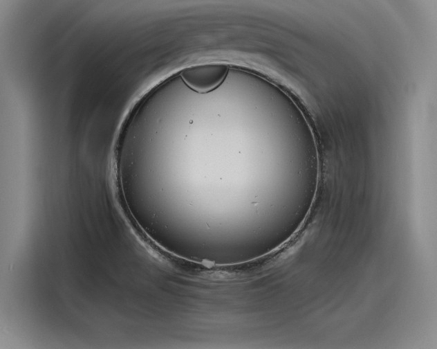 X0000116141517200911301510