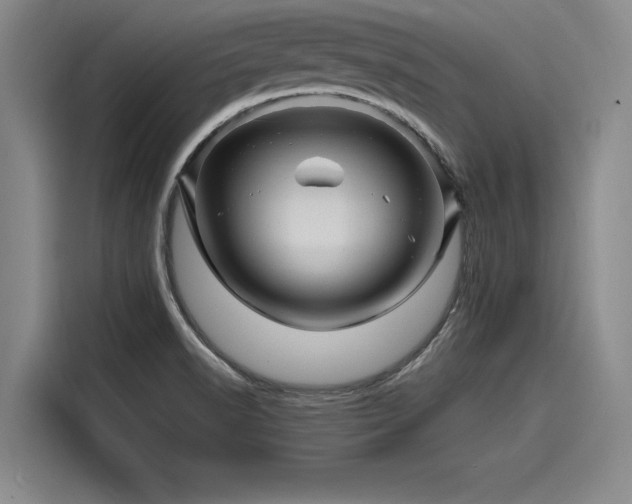 X0000116141518200911301510