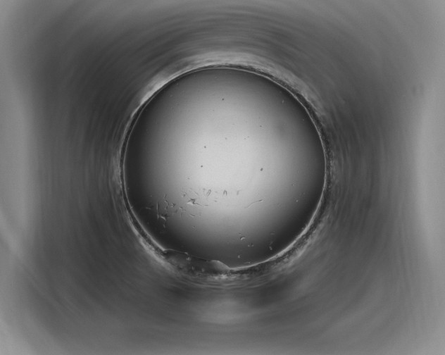 X0000116141521200911301510