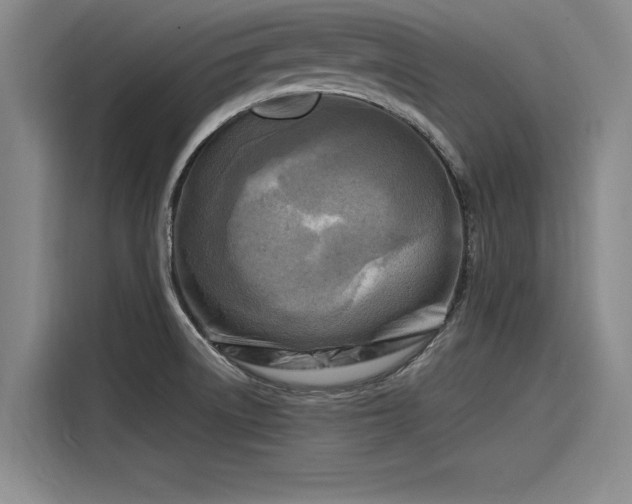X0000116141522200911301510