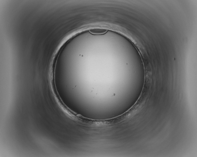 X0000116141523200911301510