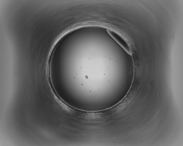 X0000116141527200911301510
