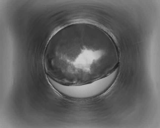 X0000116141529200911301510