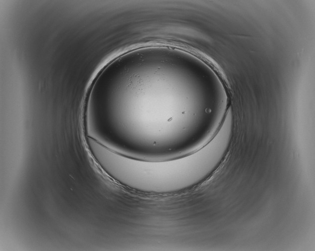X0000116141530200911301510