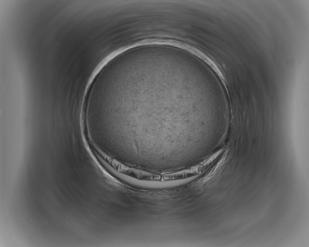 X0000116141533200911301510