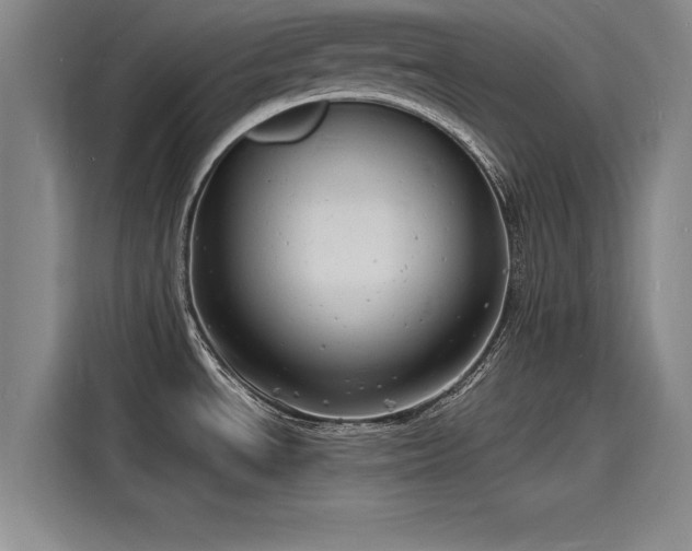 X0000116141534200911301510