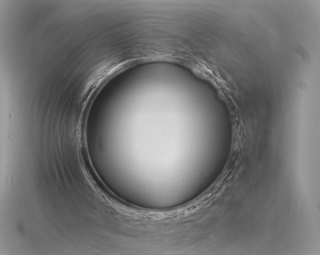 X0000116140002200912071252