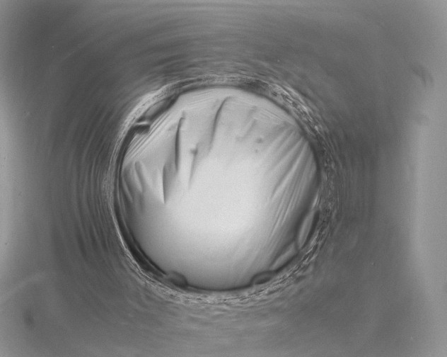 X0000116140003200912071252