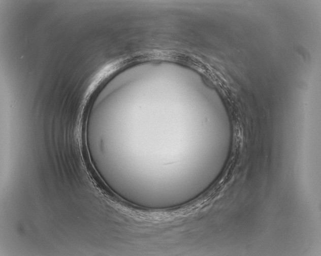 X0000116140006200912071252