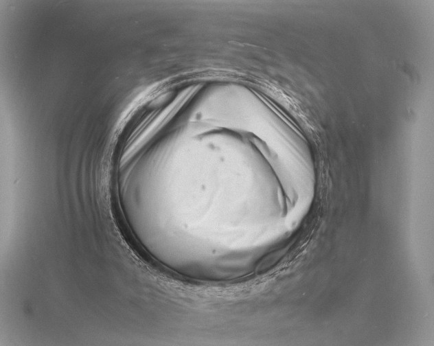 X0000116140007200912071252