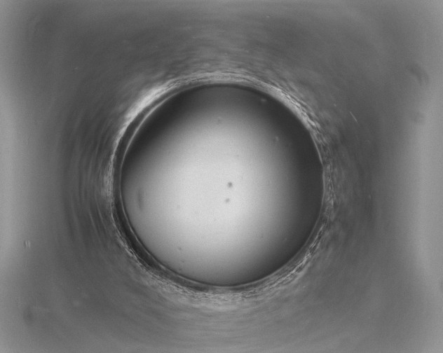 X0000116140008200912071252