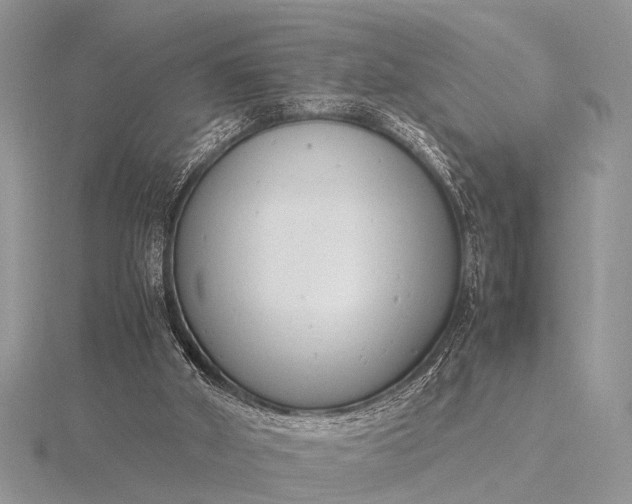 X0000116140010200912071252