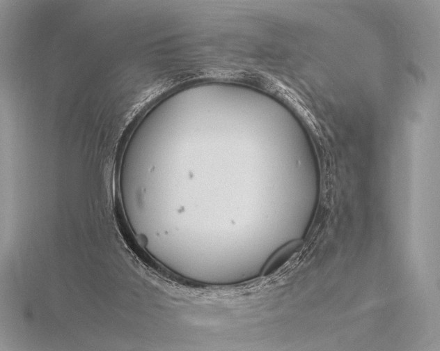 X0000116140011200912071252