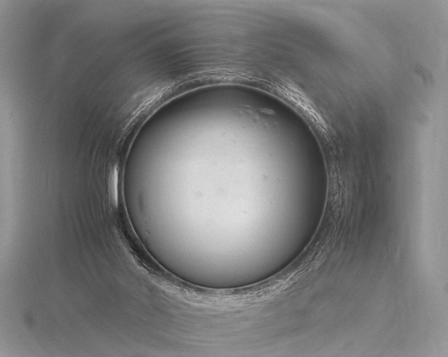 X0000116140014200912071252