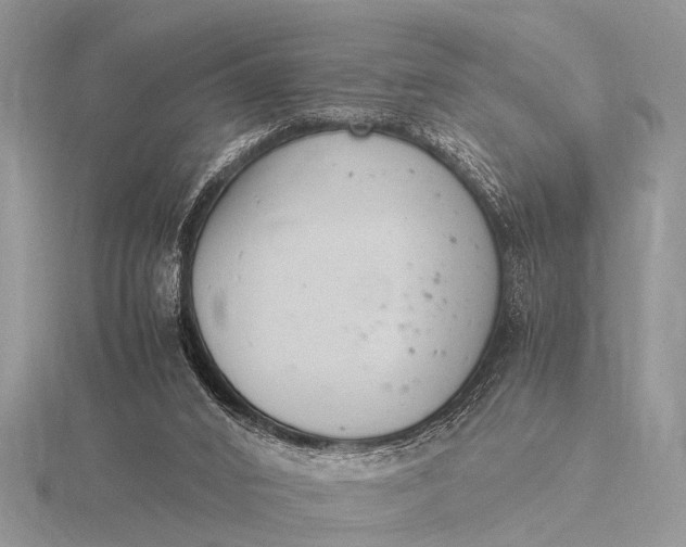 X0000116140016200912071252