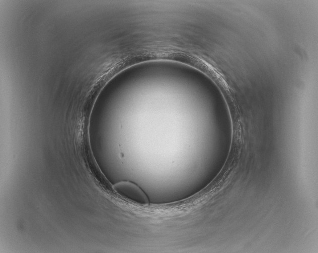 X0000116140018200912071252