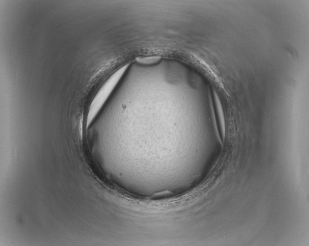 X0000116140019200912071252