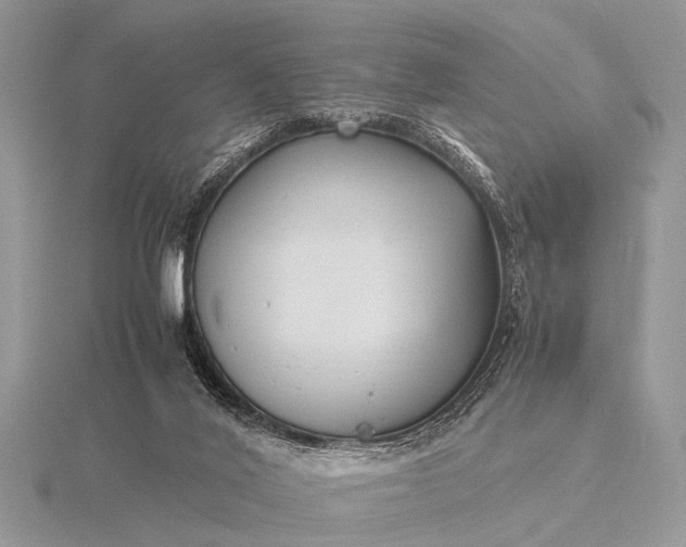 X0000116140020200912071252