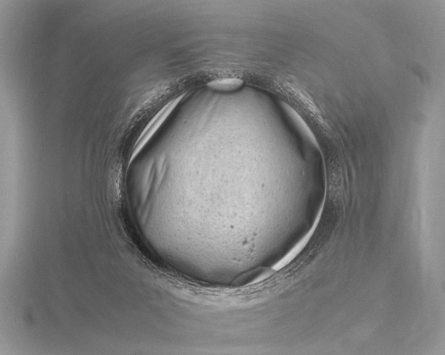 X0000116140023200912071252